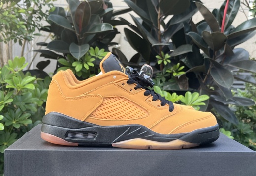 Air Jordan 5 Low  Chutney DA8016-700 36-47.5